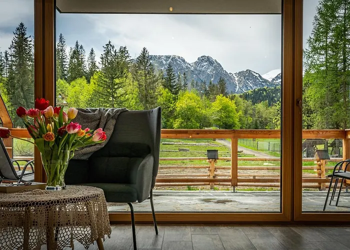 Biały Miś Apartamenty Art&Design